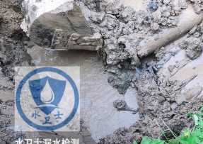 新蔡水管漏水检测公司5